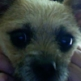 user-pic