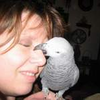 user-pic