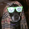 user-pic