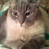 user-pic