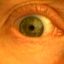 user-pic