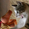 user-pic