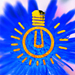 user-pic