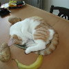 user-pic