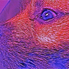 user-pic