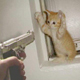 user-pic