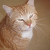 user-pic