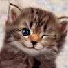 user-pic