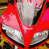 user-pic