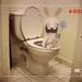 user-pic