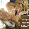 user-pic