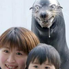 user-pic