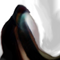 user-pic