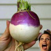user-pic