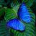user-pic