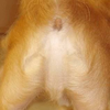 user-pic
