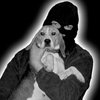 user-pic