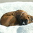 user-pic