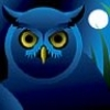 user-pic