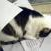 user-pic