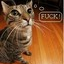 user-pic
