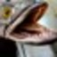 user-pic