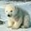 user-pic