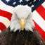 user-pic