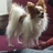 user-pic