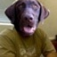 user-pic
