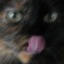 user-pic