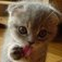 user-pic