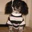 user-pic