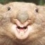 user-pic