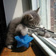 user-pic